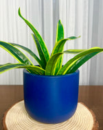 Planter (Blue) - The Decor Cycle