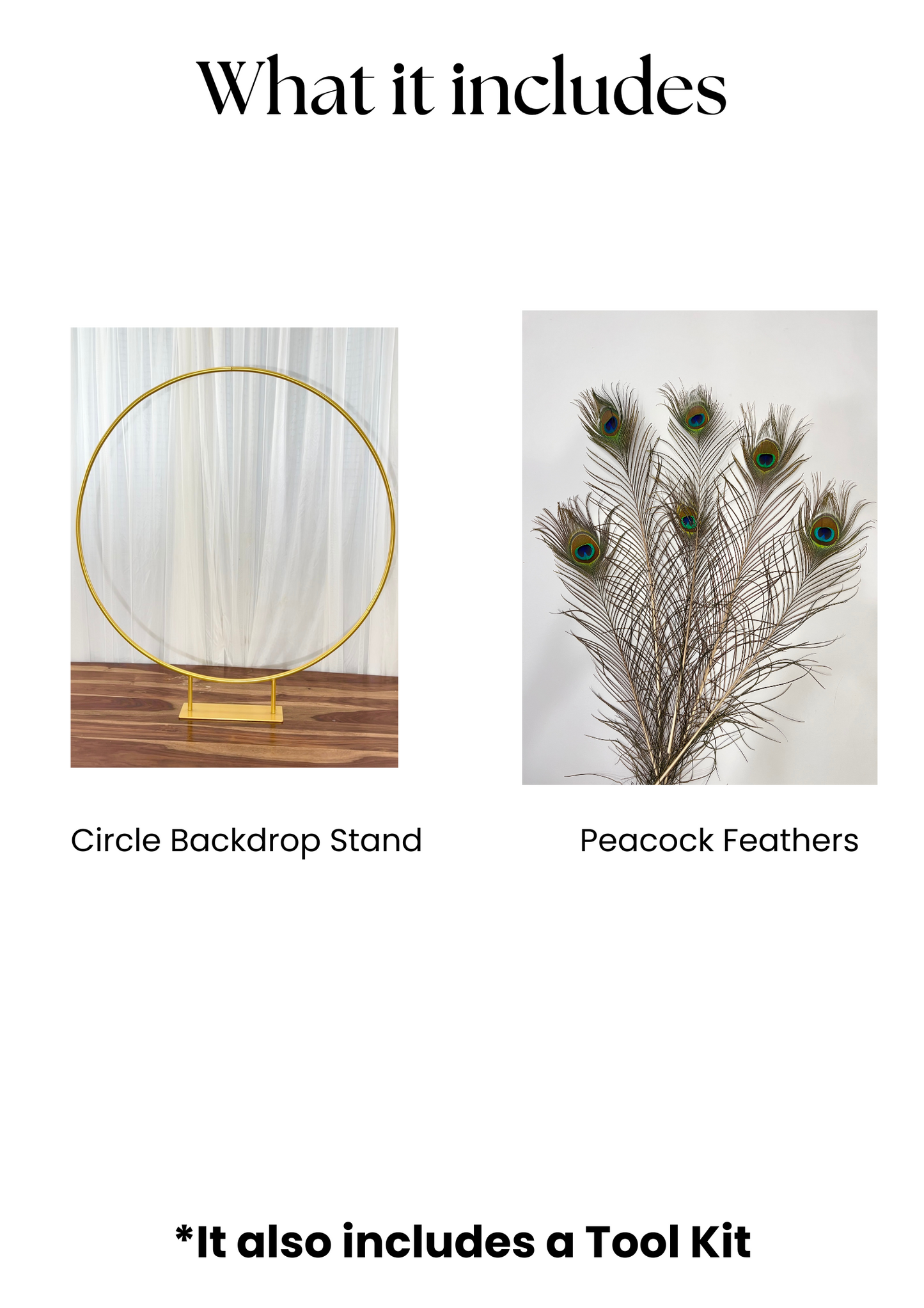 Peacock Circle Decor Set - The Decor Cycle