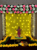 Royal Mandap Decoration Package