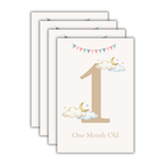 Baby Milestone Cards (Boho)