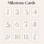 Baby Milestone Cards (Boho)