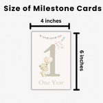 Baby Milestone Cards (Boho)