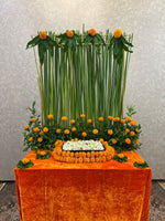 Pooja Backdrop Stand