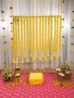 Pink Flex - The Decor Cycle