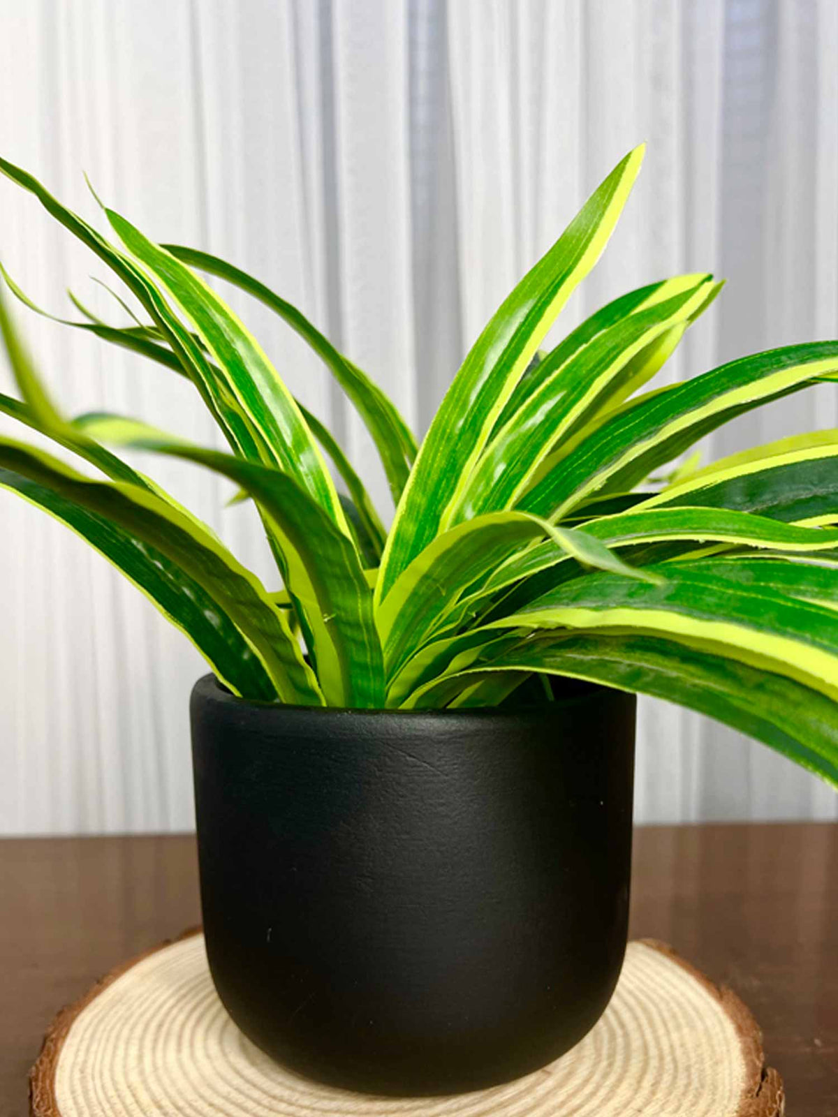 Planter (Black) - The Decor Cycle