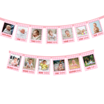 Baby First Birthday Photo Banner – Monthly Milestone Garland (0–12 Months)