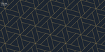 Navy Blue Geometric Flex - The Decor Cycle