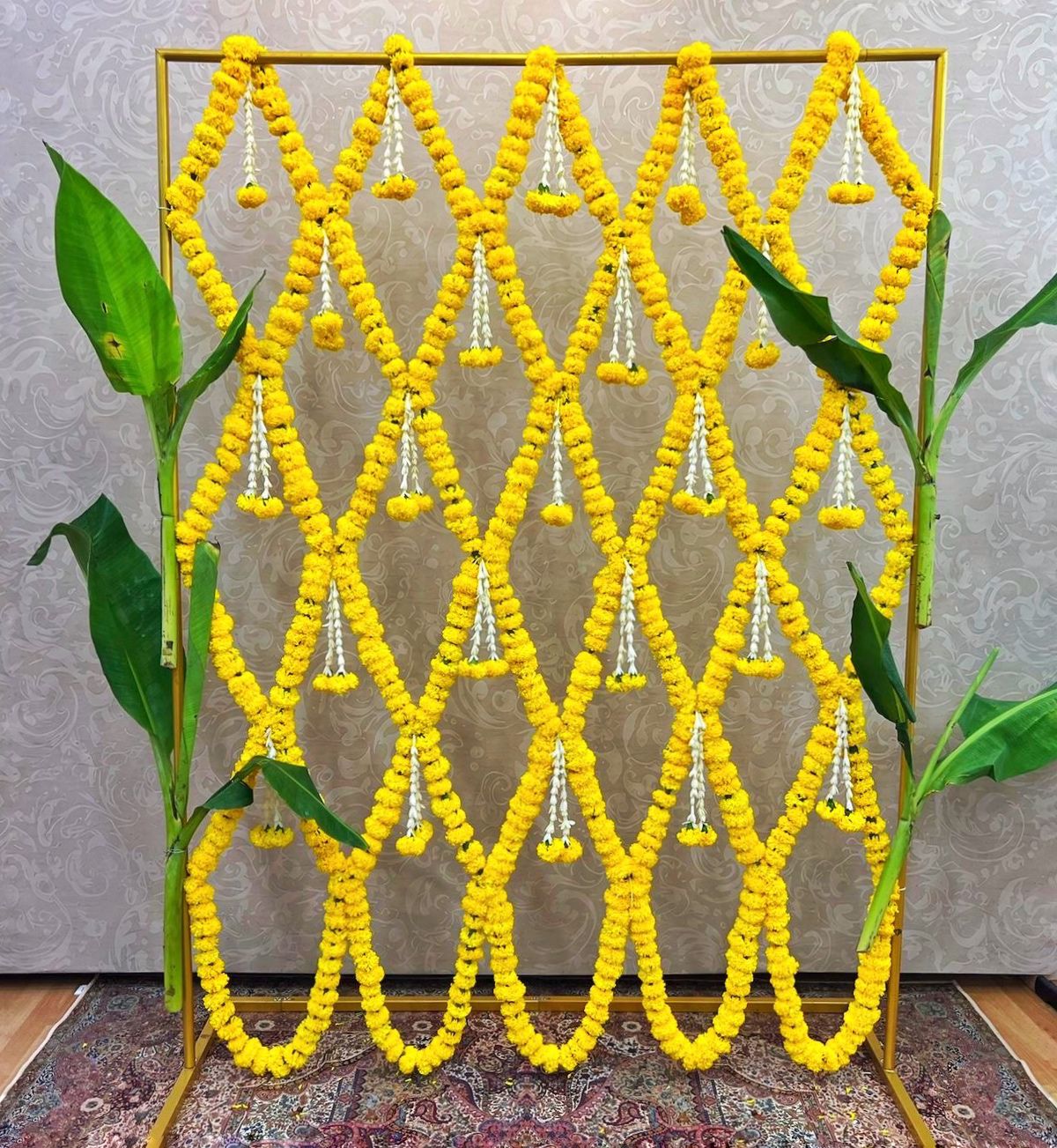 Backdrop Frame (6 sizes in 1) BEST SELLER