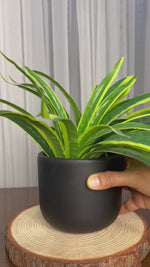 Planter (Black)
