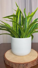 Planter (Light Blue)