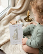 Baby Milestone Cards (Boho)